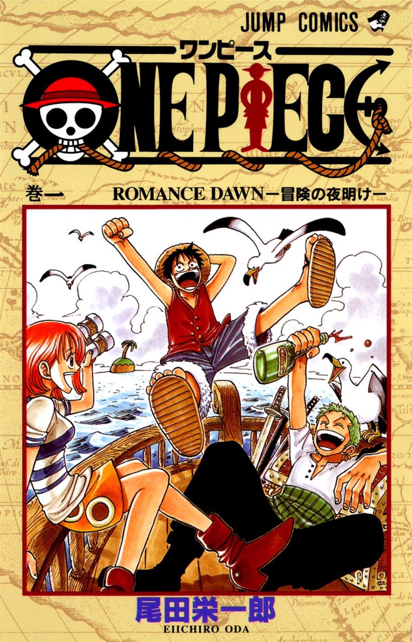 One Piece Cover